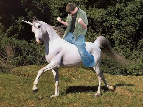 steve unicorn